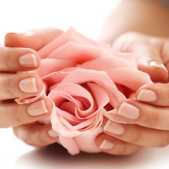 Skin care. Hands with pink rose head